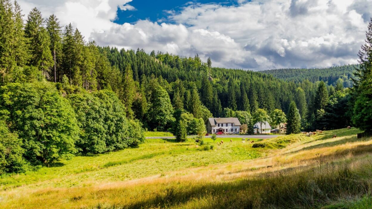 Wellness Jeseníky – Seznam lázní, aquaparků i nejlepších wellness hotelů